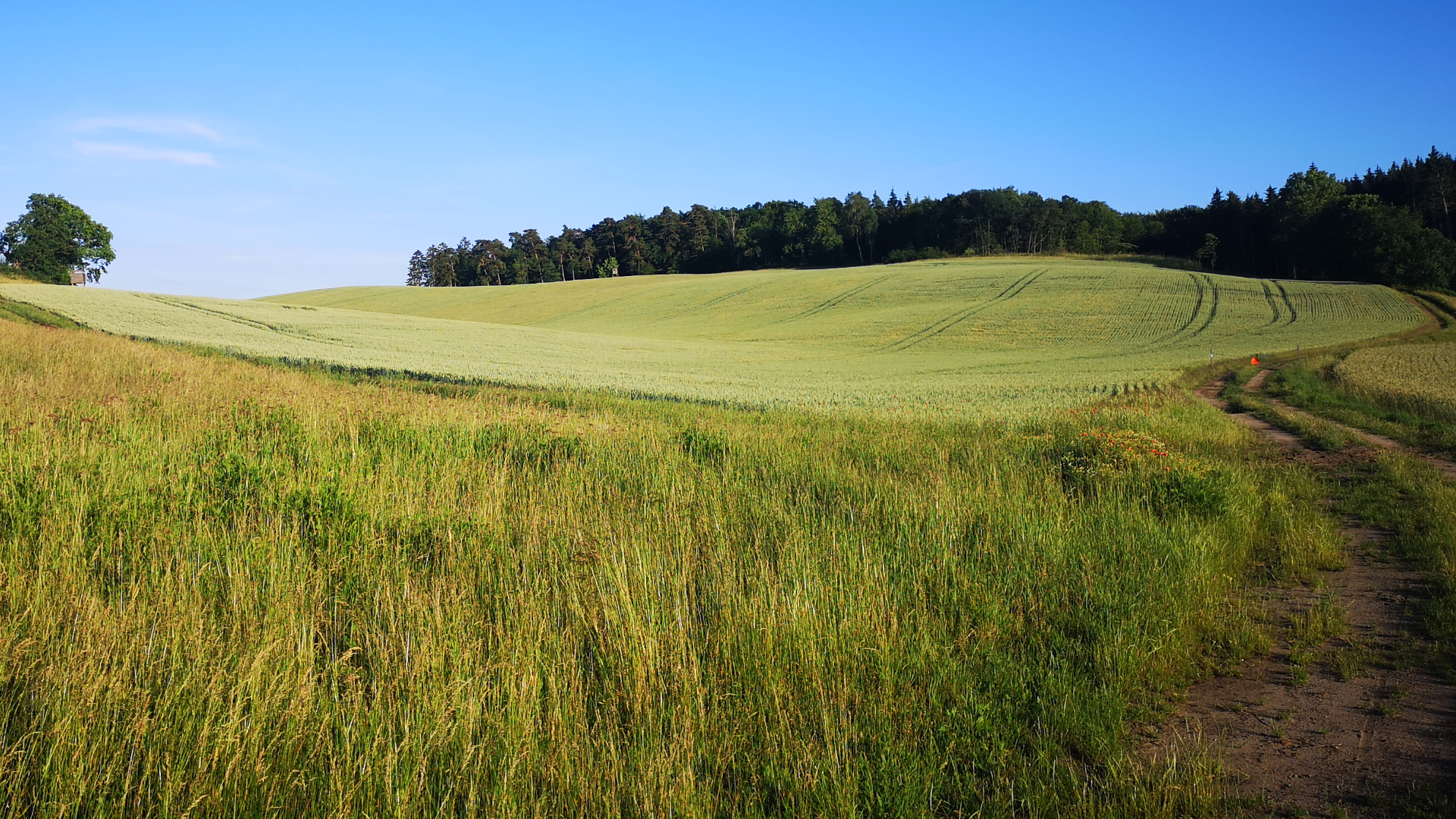 Alles, was wir tun, tun wir<br />
#wegenmorgen.